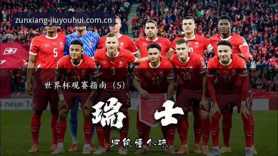 世界杯观赛受阻？从签证困局看赛事背后的地缘政治影响——J9九游平台用户观赛实用知识
