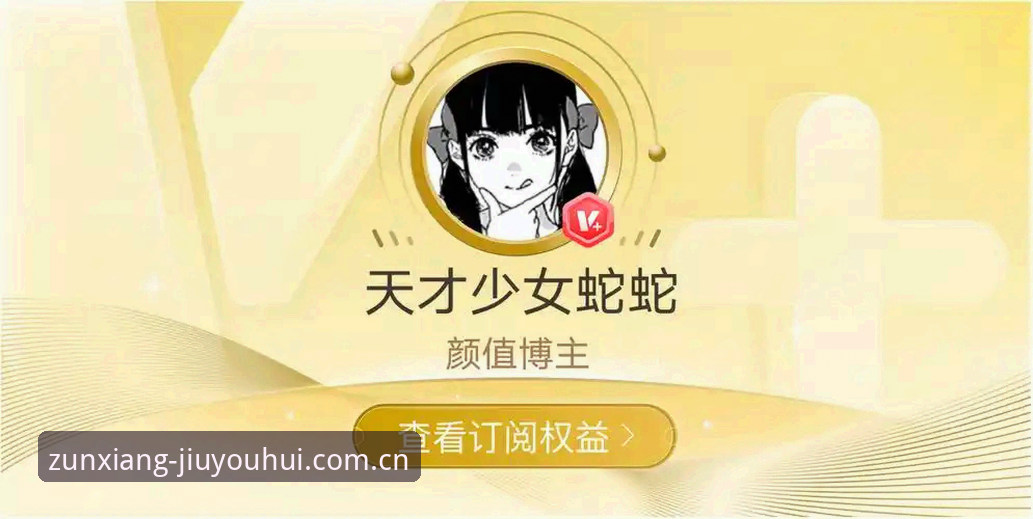 资深玩家亲述J9九游平台ZX73实战攻略：从入门到精通的完整心得